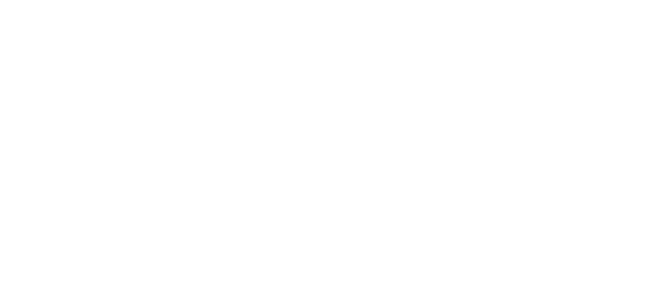 SENG Logo, go to https://www.seng.dk/